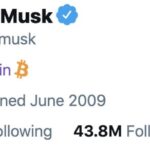 Elon Musk Twitter Bio
