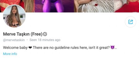 10 maddede OnlyFans hakkında bilmeniz gerekenler - Webmasto