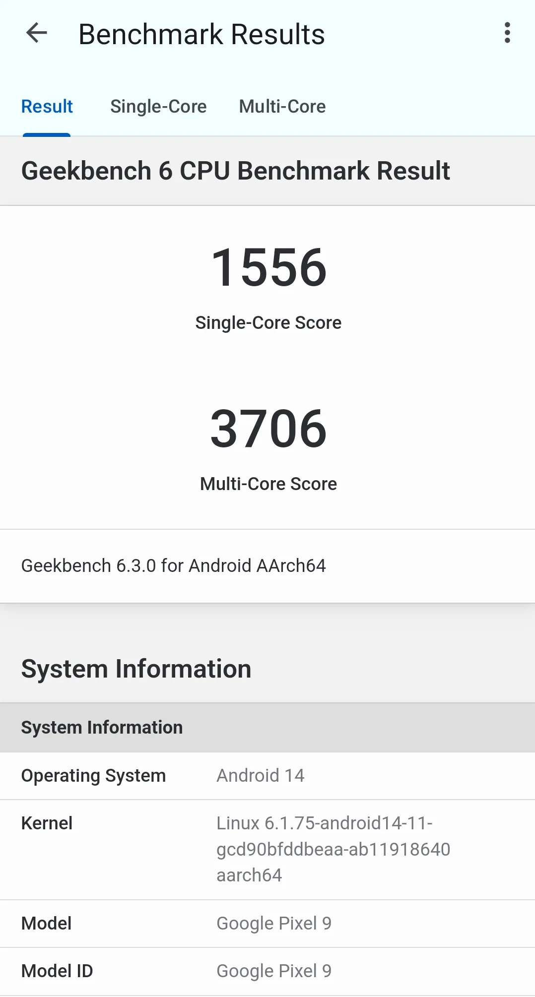 Tensor G4 Geekbench performans testi