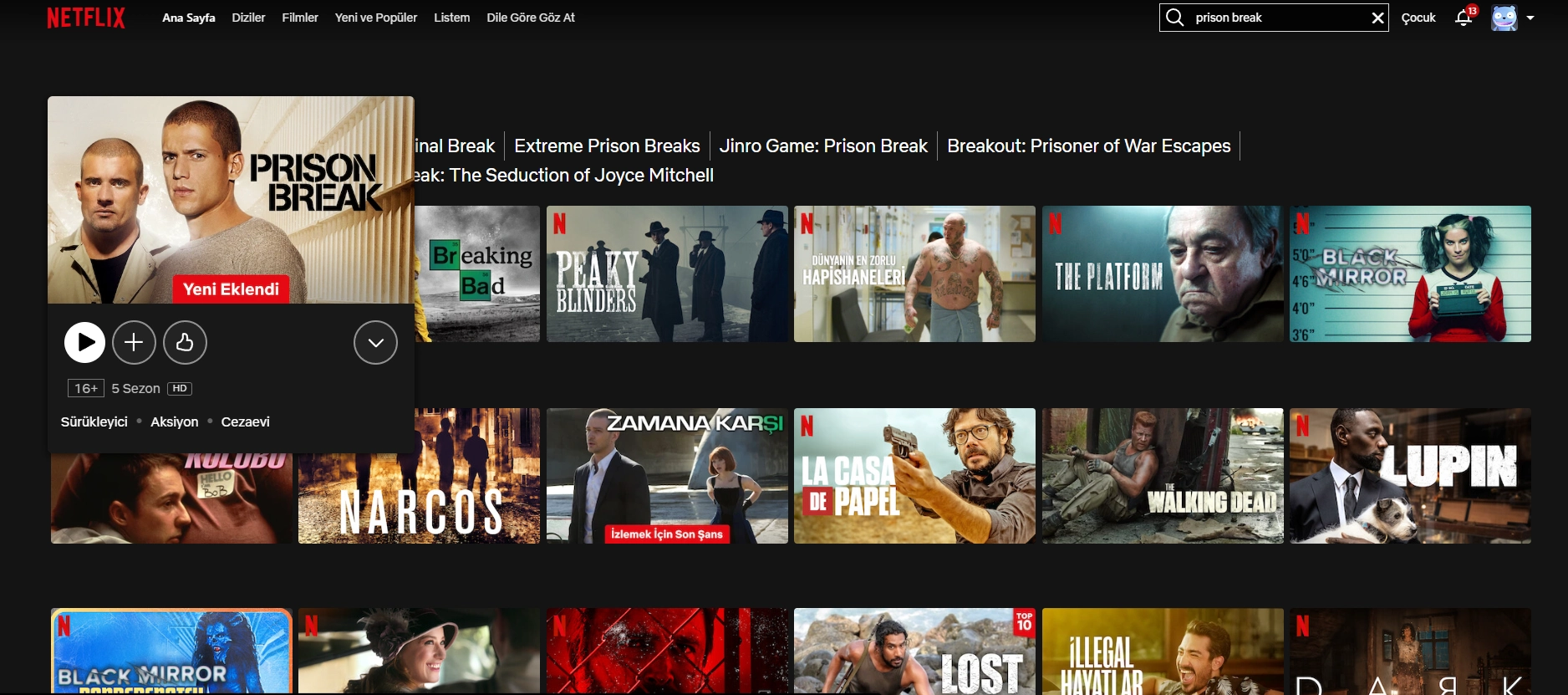 Prison Break Netflix Türkiye