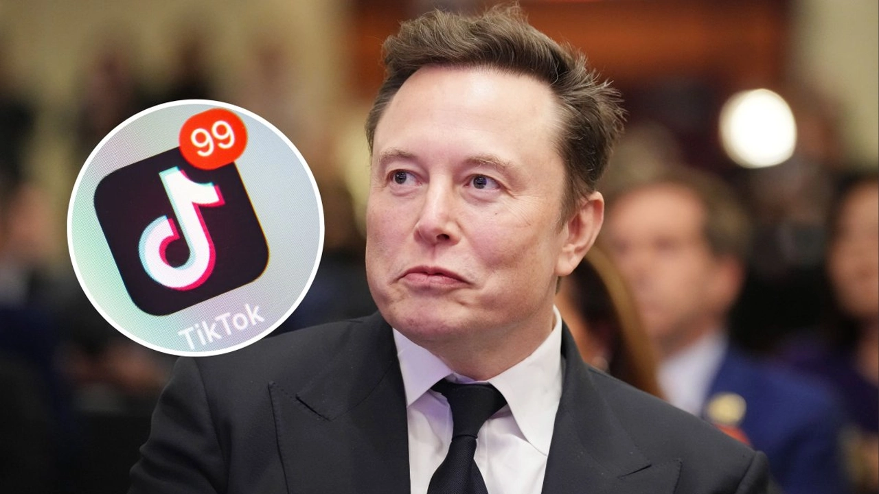 Elon Musk - TikTok