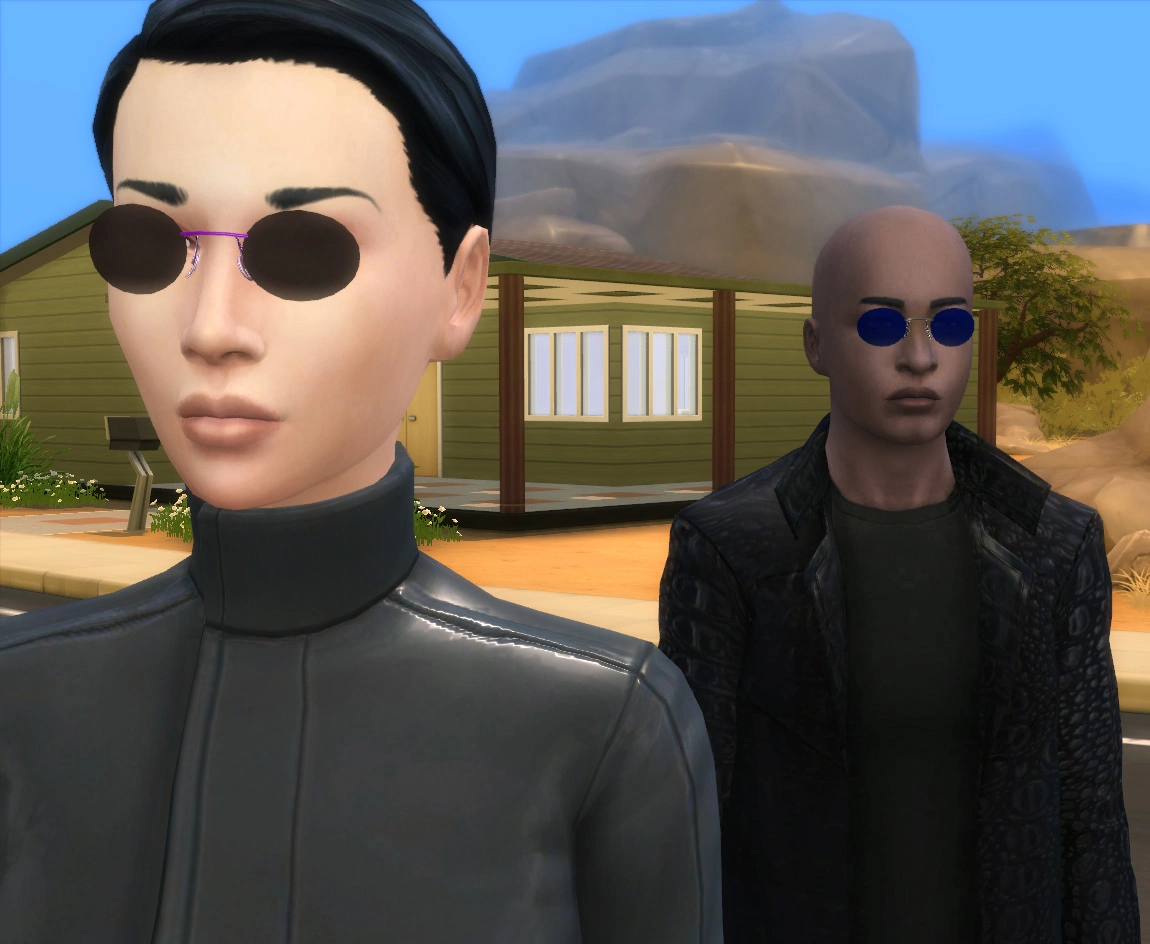 The Sims ve Matrix