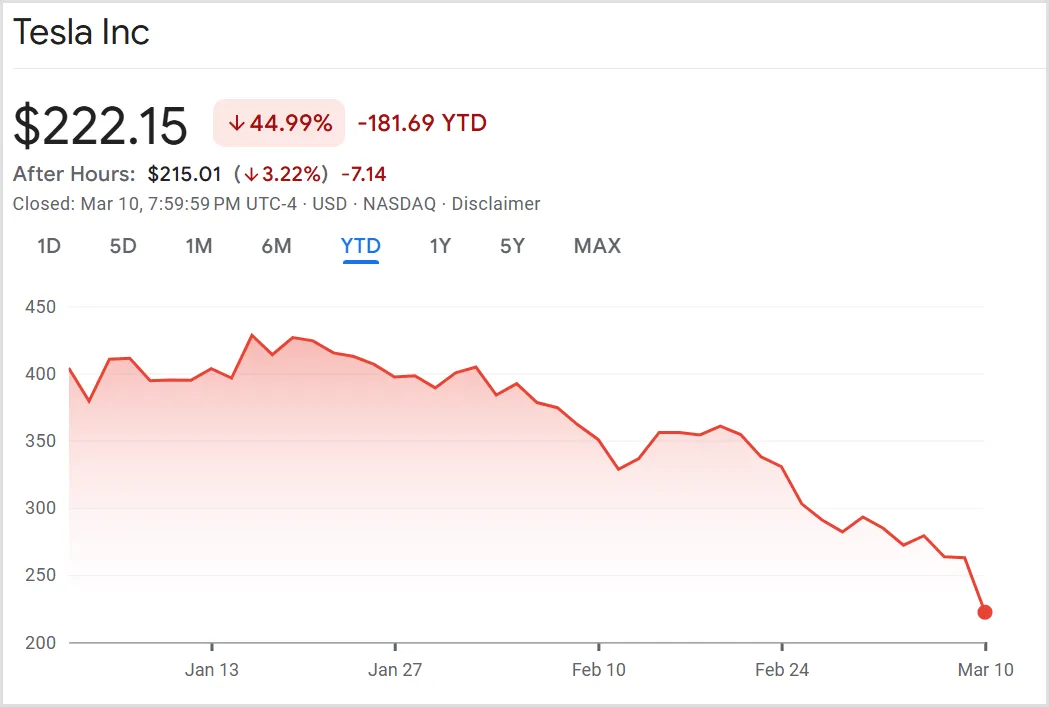 Tesla Hisseleri 10 Mart 2025