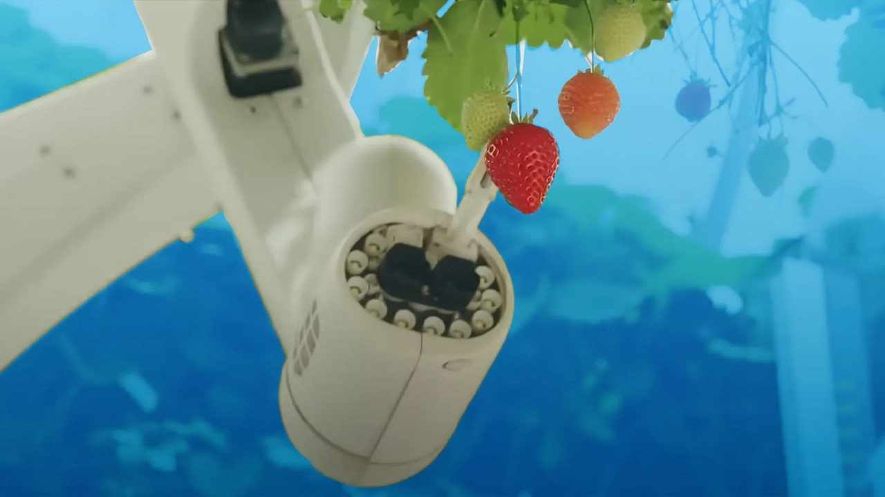 Dyson çilek yetiştirme makinesi