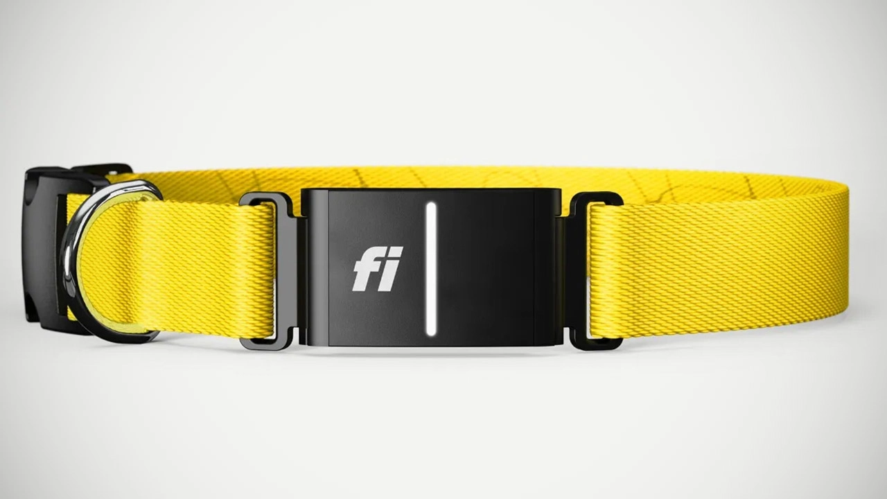 Fi Series 3 Plus