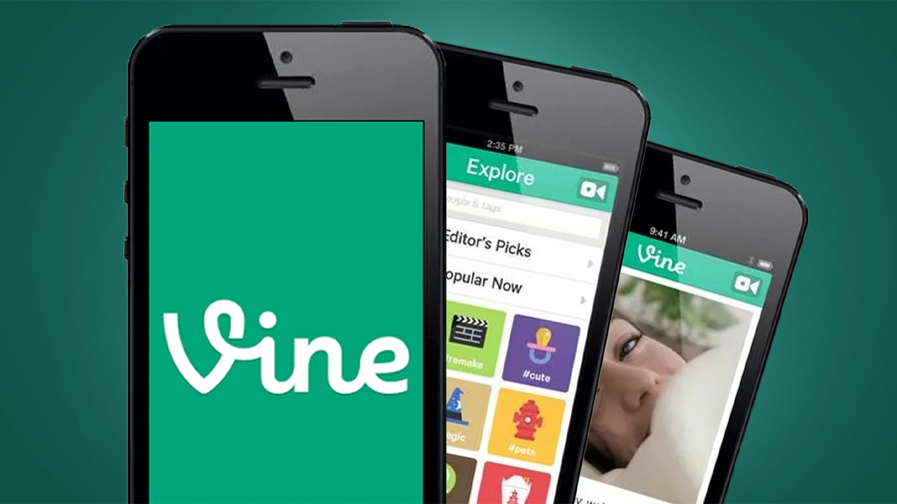 Vine