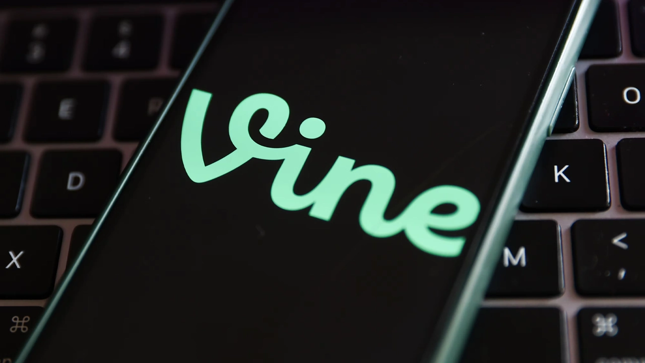 Vine