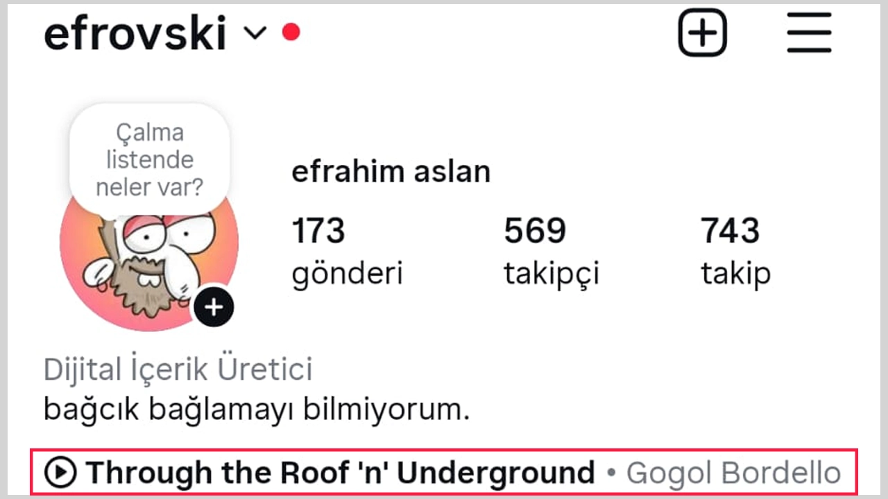 Instagram profiline müzik ekleme
