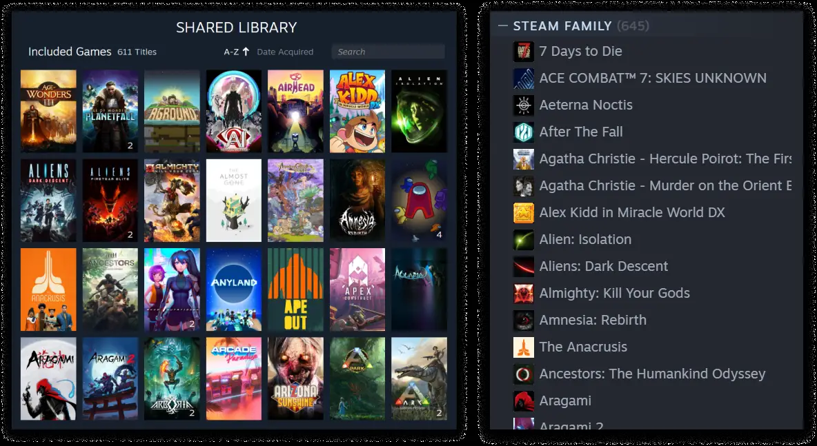 Steam Aileleri'nde paylaşılan oyunların listelendiği aile kütüphanesi ekranı